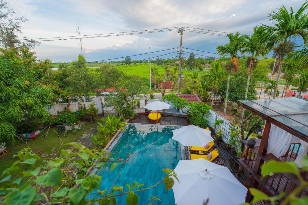 una vista sul tetto di una piscina con ombrelloni di Flora Villa Hoi an a Hoi An