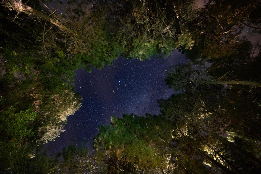 Fotografia z galérie ubytovania Kampaoh Cazorla v destinácii El Valle