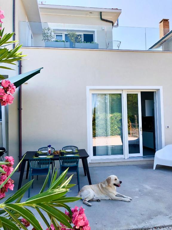 a dog laying on a patio with a table and chairs at Le Nasse in Fano