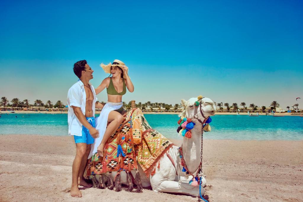Desert Rose Resort, Hurghada – Updated 2023 Prices