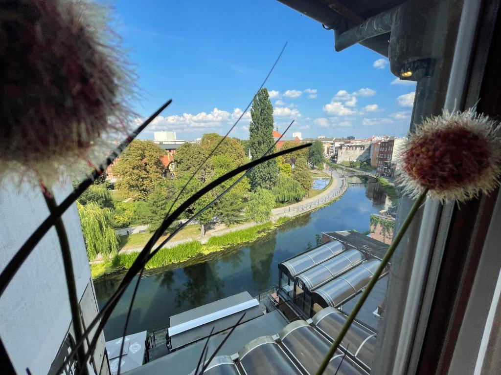 widok na rzekę z okna w obiekcie Kamienica Poznańska 7 w Bydgoszczy
