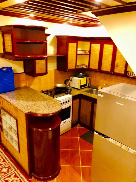 THE MANSION - BACKPACKERS Near AIRPORT - 两居室公寓