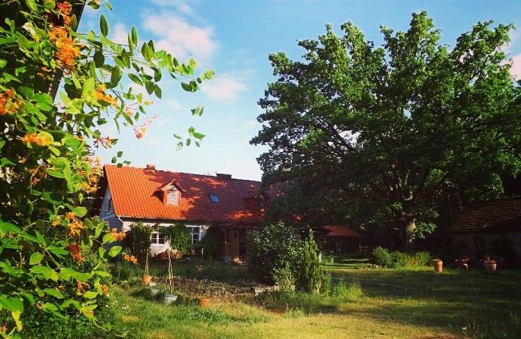 una casa con techo rojo y un árbol en Agro - Dom Wsrod Lasow, en Trzcianka