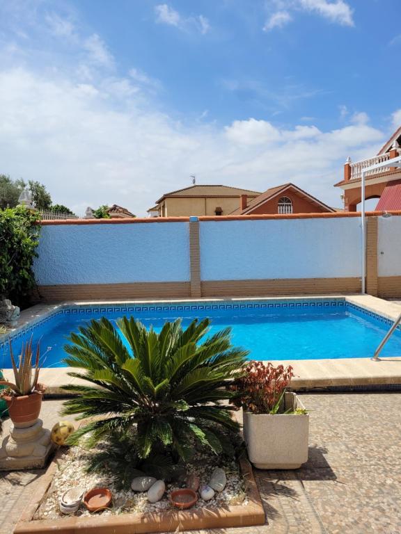 a swimming pool in a yard with plants at Casa cerca de Sevilla con piscina in Valencina de la Concepción