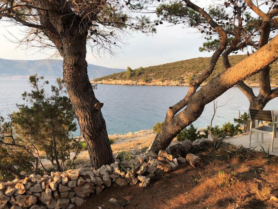 un banco sentado bajo dos árboles junto a un cuerpo de agua en Hvar island -Enjoy Your privacy by the sea, en Stari Grad