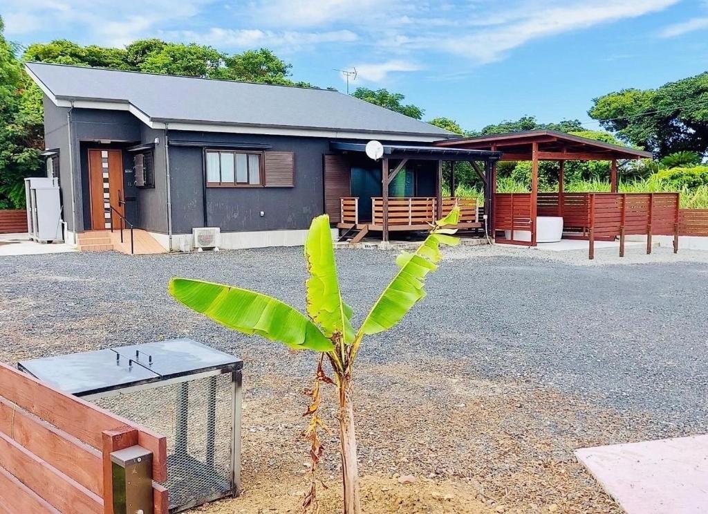 una casa con una planta delante de ella en AZ Hotel - Vacation STAY 56058v en Akaoki