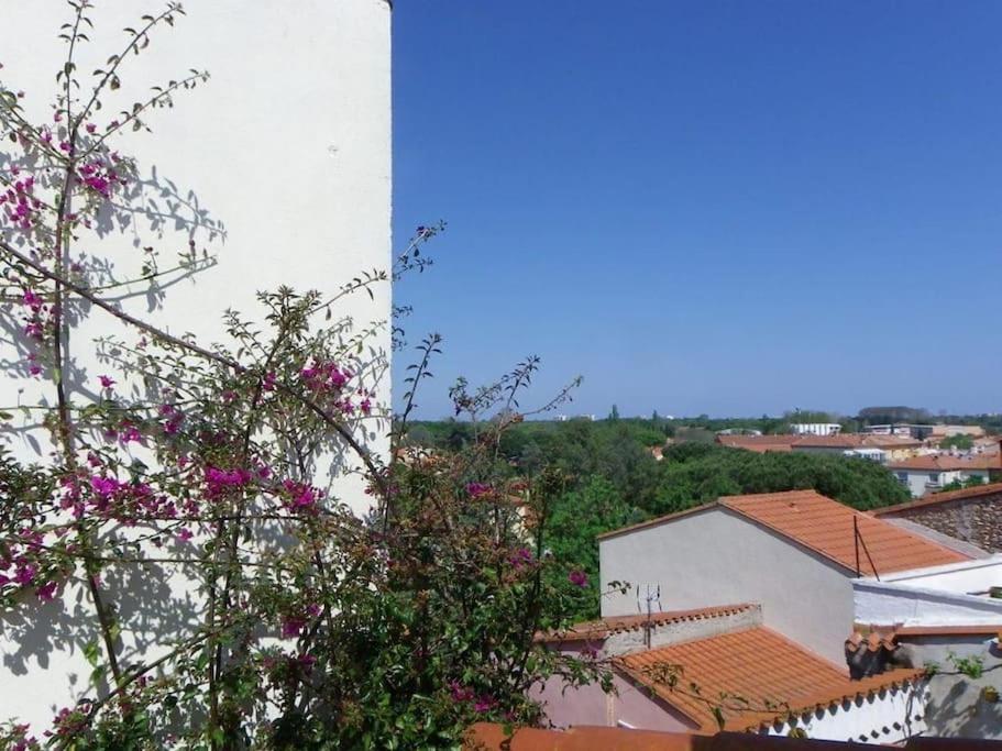 Fotografia z galérie ubytovania Rosella - maison de charme au cœur du village v destinácii Argelès-sur-Mer