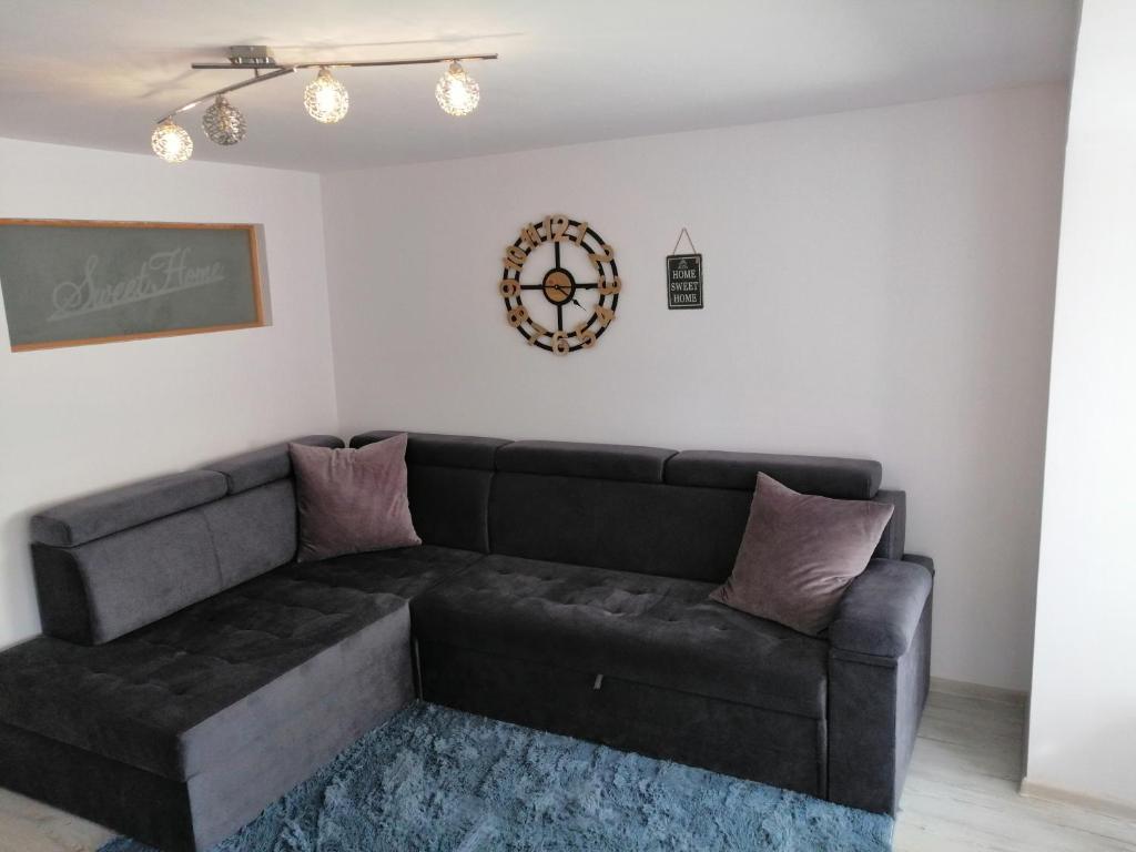 - un salon doté d'un canapé brun dans l'établissement Apartament Przy Parku, à Malbork