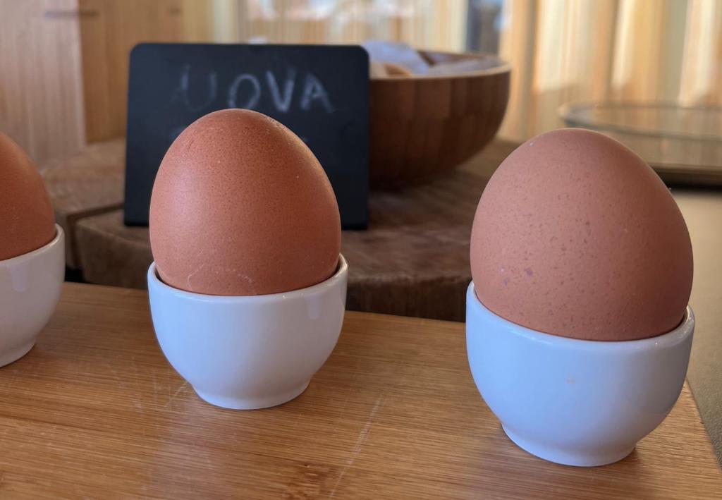 Hotel Corallo Rimini - Resim 36