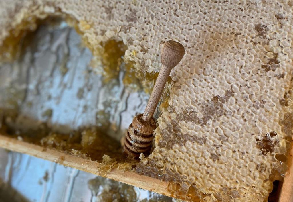 Hotel Corallo Rimini - Resim 30