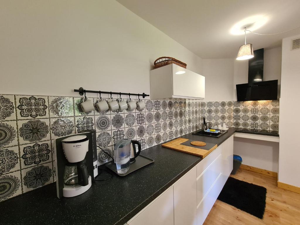 Kuchyňa alebo kuchynka v ubytovaní Apartament Katarina 2