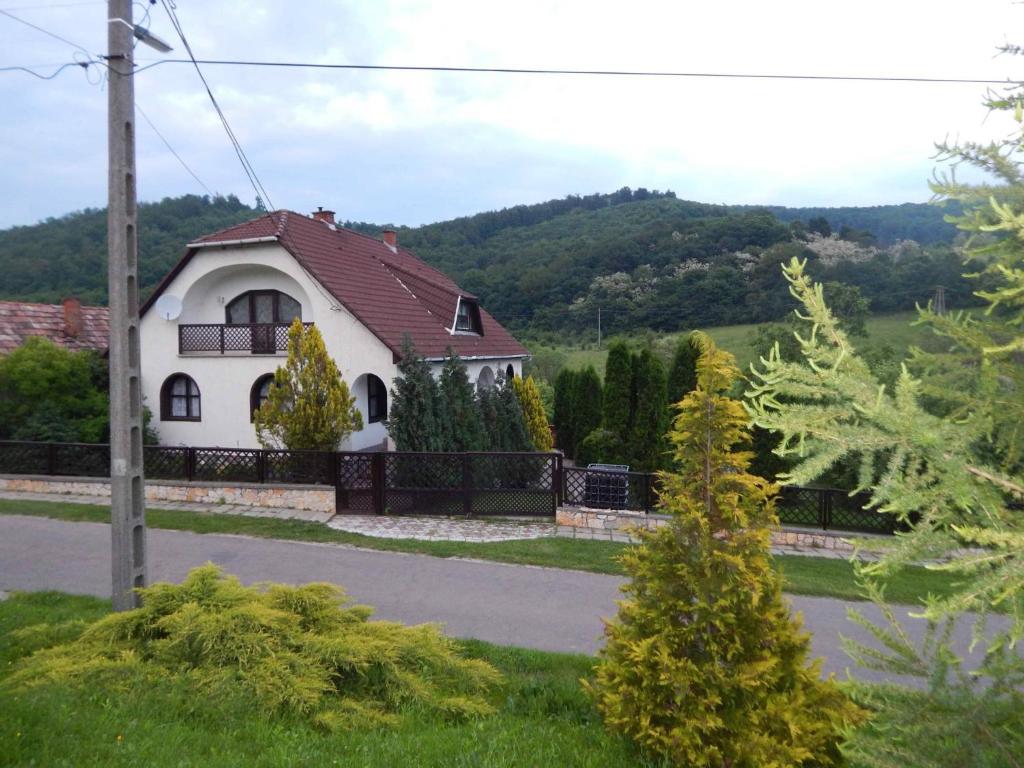 a white house with a brown roof at Boltíves Vendégház in Sajógalgóc