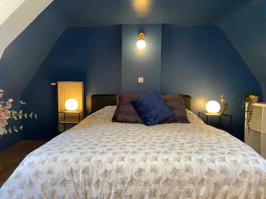 een slaapkamer met een groot bed met 2 verlichting bij Le Duplex du Beffroi in Douai