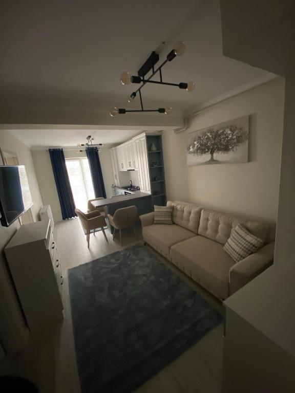 Apartament Ozana - Housity