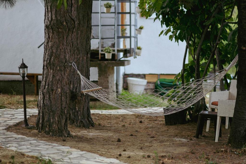Foto sihtkohas Čortanovci asuva majutusasutuse Kućerak Sofija galeriist