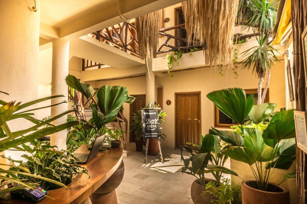 Fotografie z fotogalerie ubytování Hotel Arena v destinaci Ostrov Holbox
