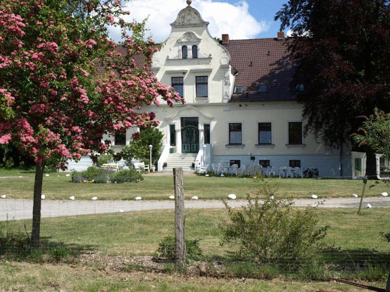 ein großes weißes Haus mit einem Baum davor in der Unterkunft Hotel Pension Gutshaus Neu Wendorf in Sanitz