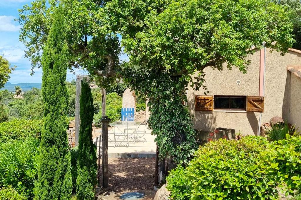 Ogród w obiekcie Villa charmante à Porto-Vecchio avec piscine