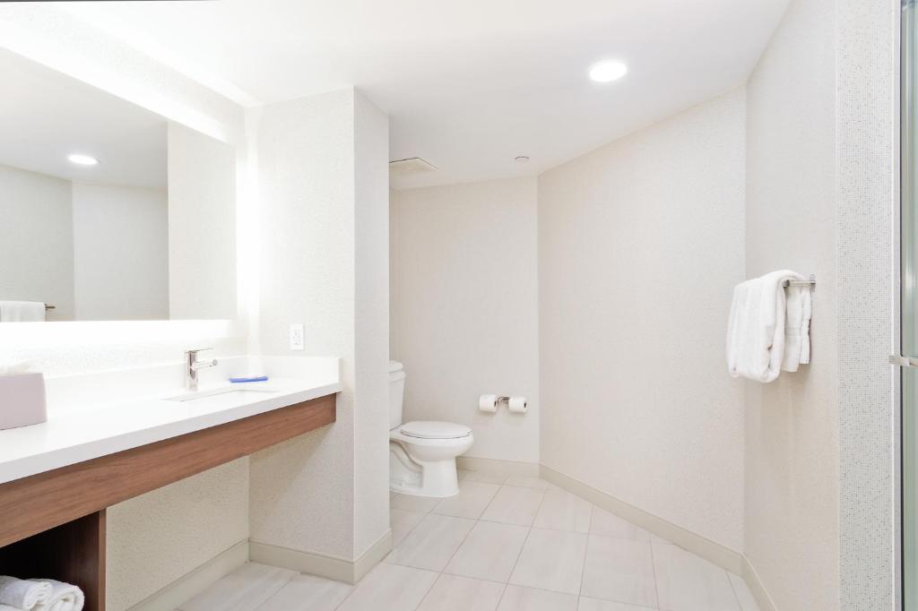 Koupelna v ubytování Holiday Inn Express & Suites Phoenix - Tempe by IHG