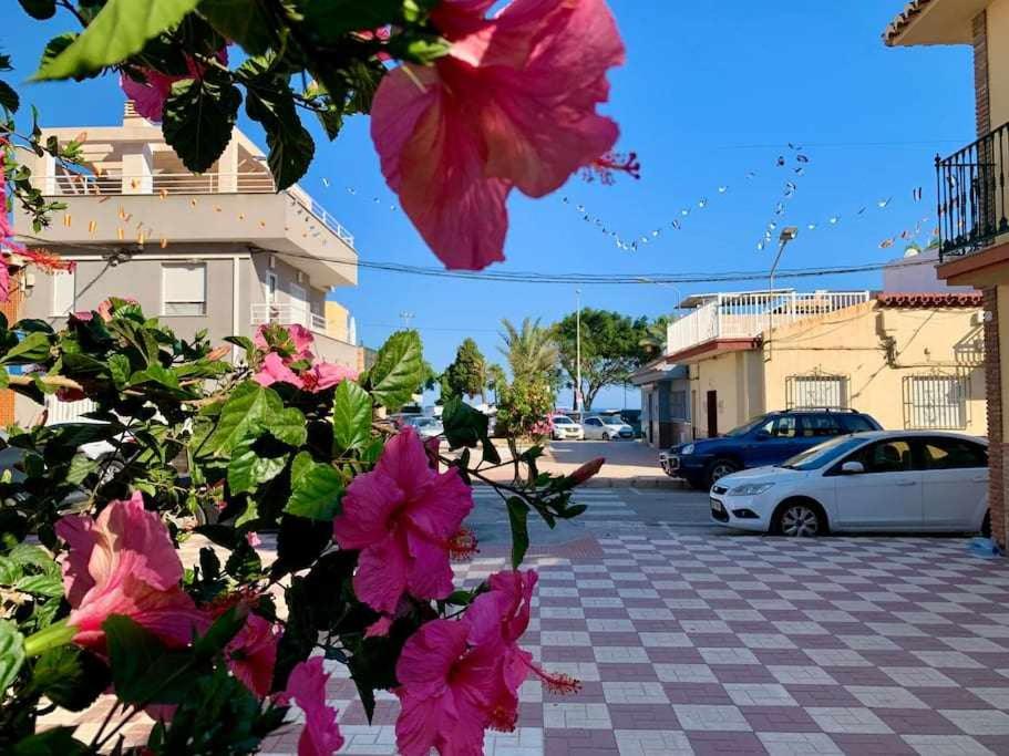 Okolie apartmánu