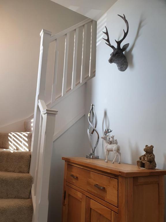 eine Treppe mit einem Holzschrank, auf dem ein Hirschkopf prangte in der Unterkunft The White House in Elgin