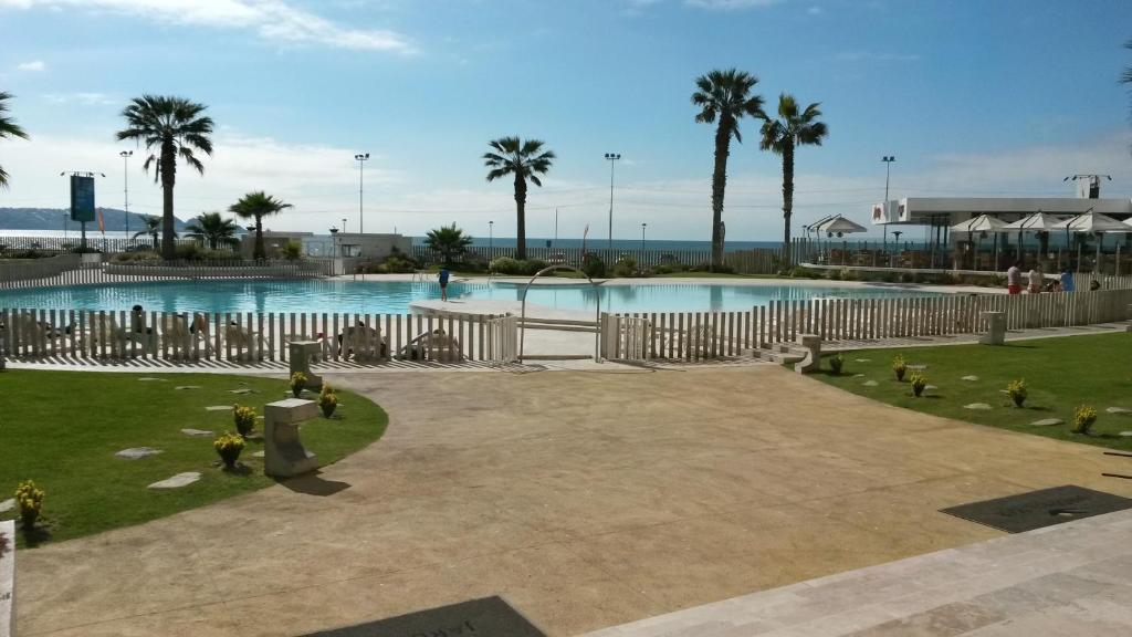 a large swimming pool with palm trees in a park at Departamento Jardin del Mar La Serena in Coquimbo