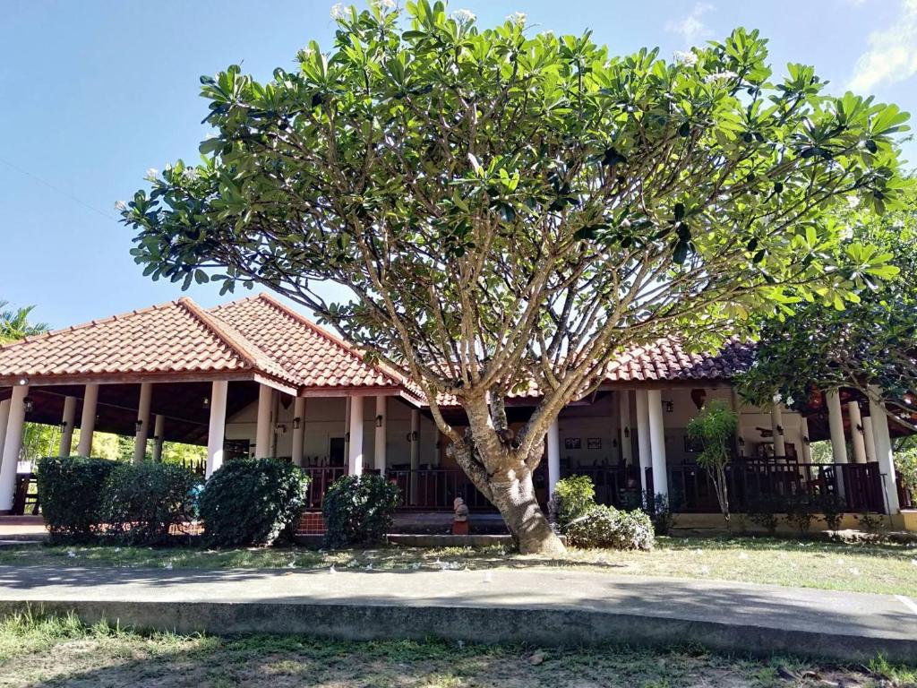 Zahrada ubytování Sailom Resort Bangsaphan