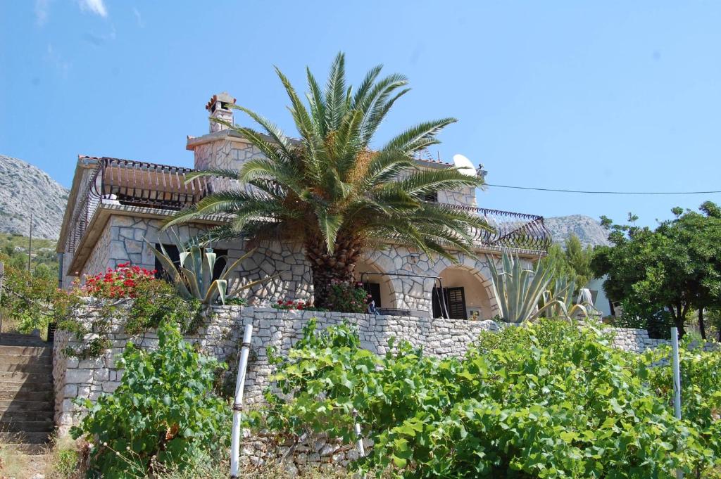una casa con una palmera en la parte superior de una pared de piedra en Seaside holiday house Ivan Dolac, Hvar - 12958, en Jelsa