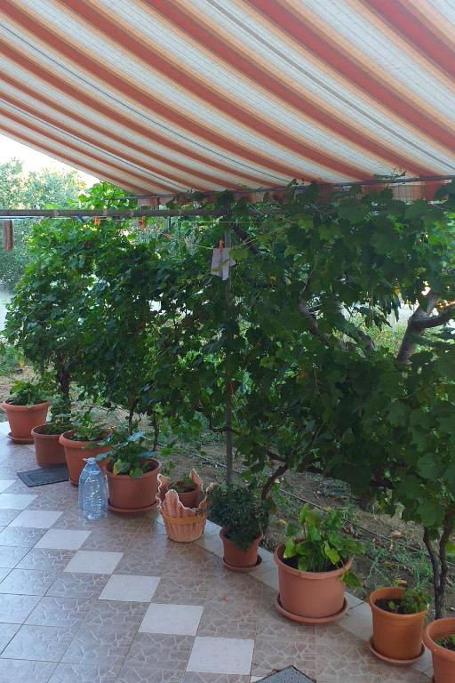 Vonkajšia záhrada v ubytovaní Apartments with a parking space Privlaka, Zadar - 12989
