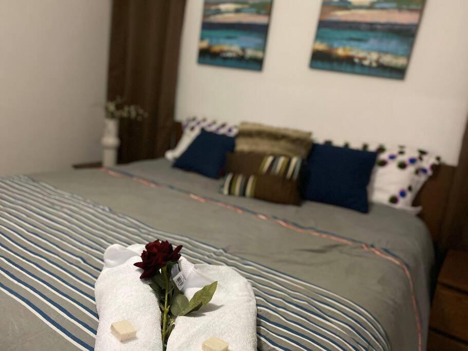 Romantico,moderno , self check-in-24/7-wifi-Tv 4K - Apartamento De Una Habitación