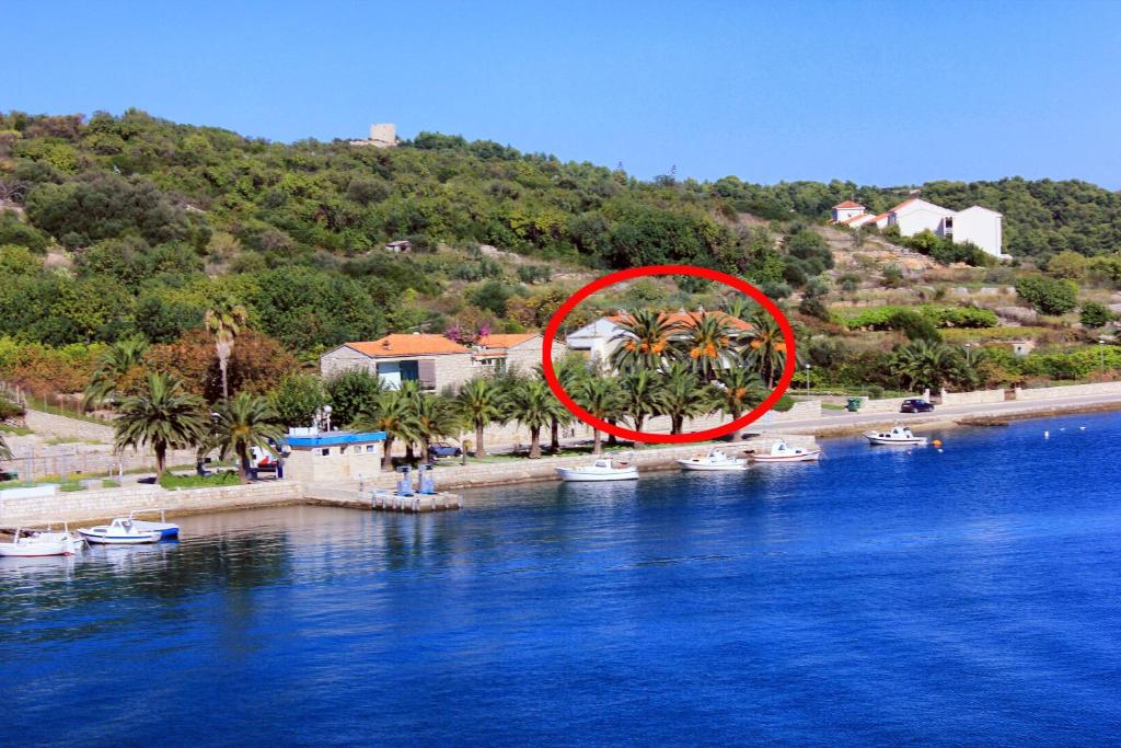 Příroda nedaleko apartmánu