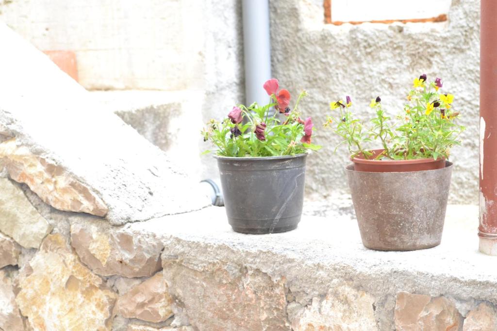 two pots of flowers sitting on a window sill at Apartments with a parking space Grebastica, Sibenik - 13365 in Bašelovići