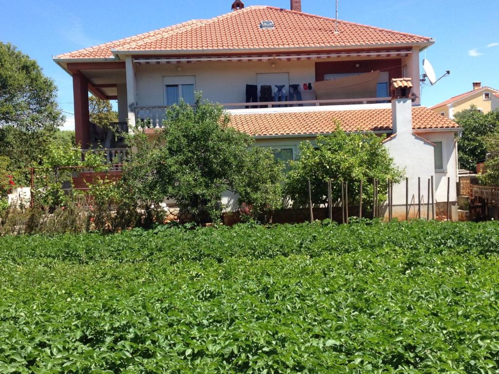 ein Haus mit einem Zaun und einem Hof in der Unterkunft Apartments by the sea Muline, Ugljan - 12533 in Ugljan