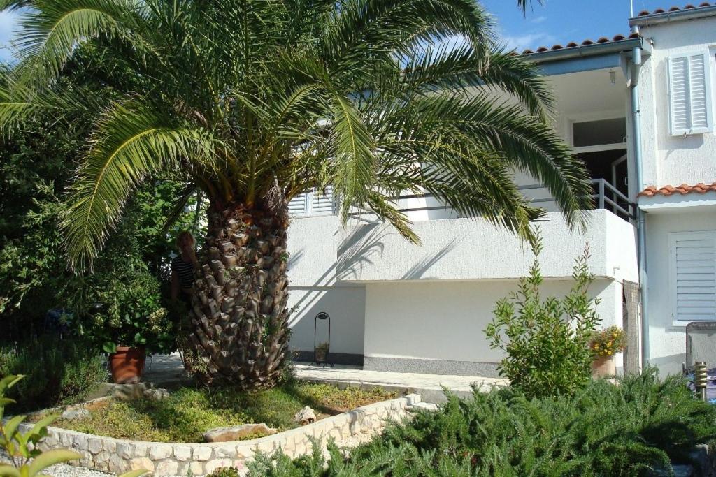 Fotografia z galérie ubytovania Apartments by the sea Petrcane, Zadar - 13490 v destinácii Petrcane