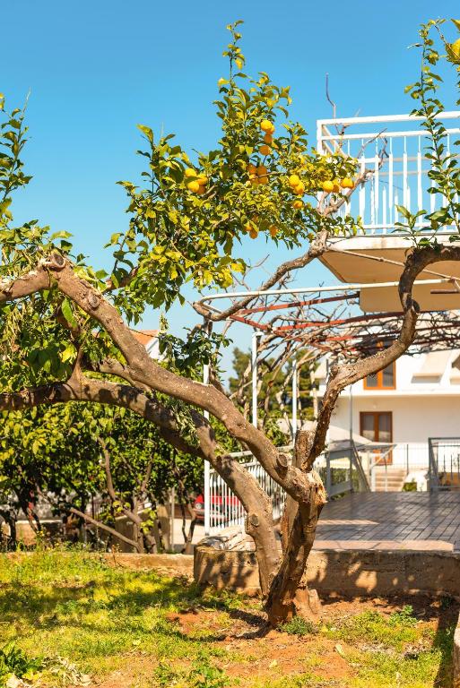 Vonkajšia záhrada v ubytovaní Apartments with parking spaces Jelsa, Hvar - 13513