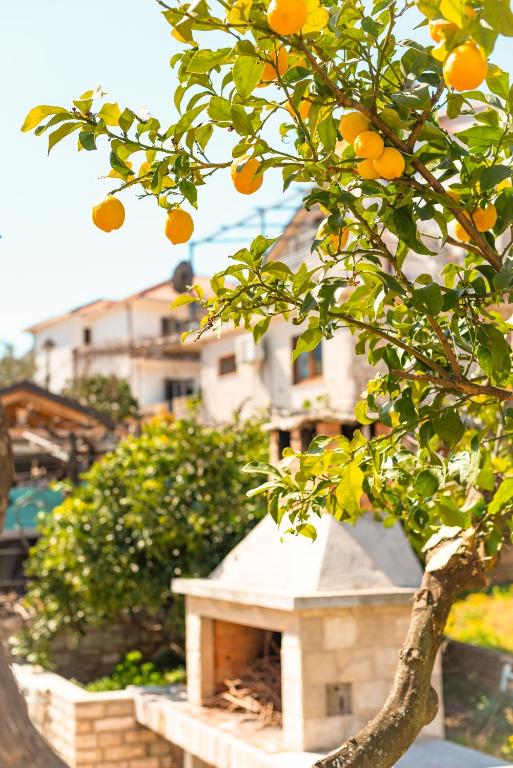 Vonkajšia záhrada v ubytovaní Apartments with parking spaces Jelsa, Hvar - 13513