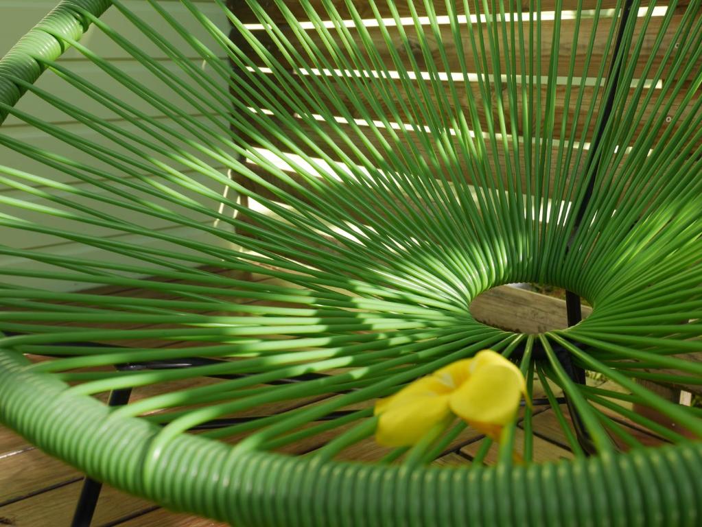 Foto sihtkohas Sainte-Rose asuva majutusasutuse La Joupa case Anthurium galeriist