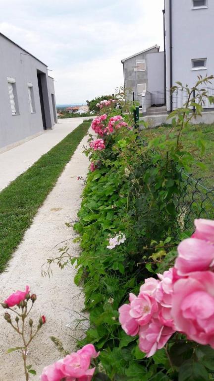 Vonkajšia záhrada v ubytovaní Apartment Nin 13571a