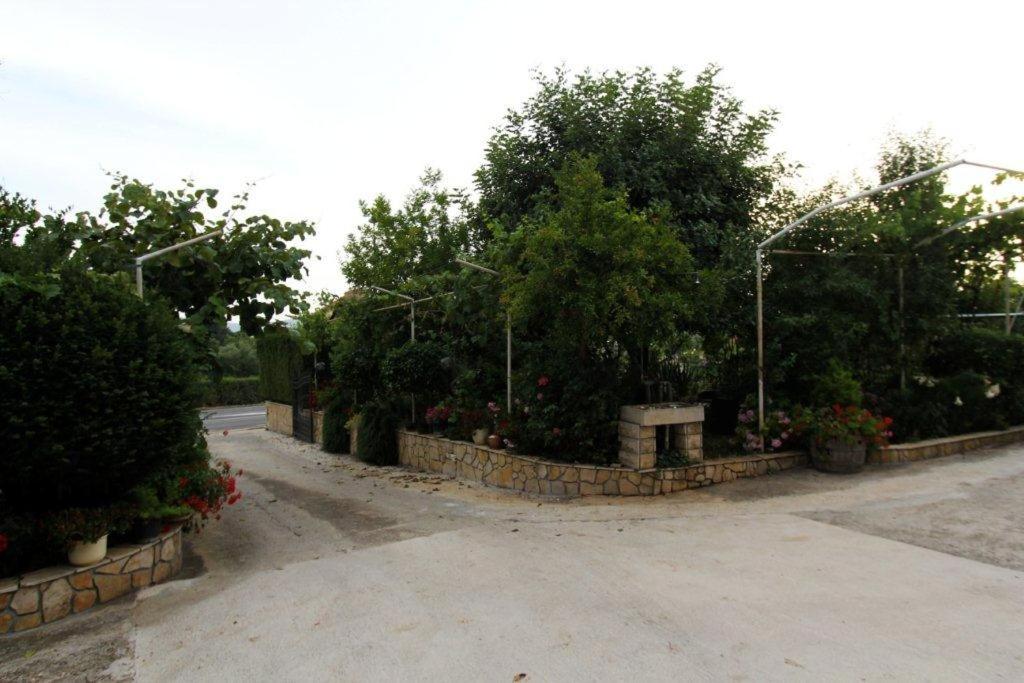 Fotografie z fotogalerie ubytování Apartments with a parking space Sveti Filip i Jakov, Biograd - 14706 v destinaci Sveti Filip i Jakov