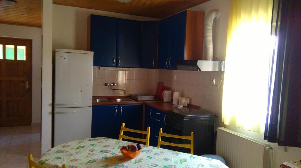 Kuchyň nebo kuchyňský kout v ubytování Apartments with a parking space Rukavac, Vis - 13337
