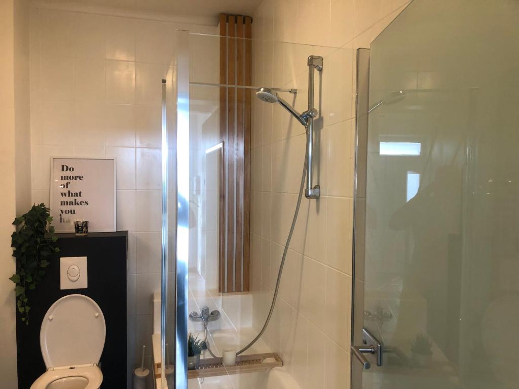 La salle de bains est pourvue d'une douche, de toilettes et d'une cabine de douche en verre. dans l'établissement La villa Bastogne chambre d'hôtes 2, à Bastogne