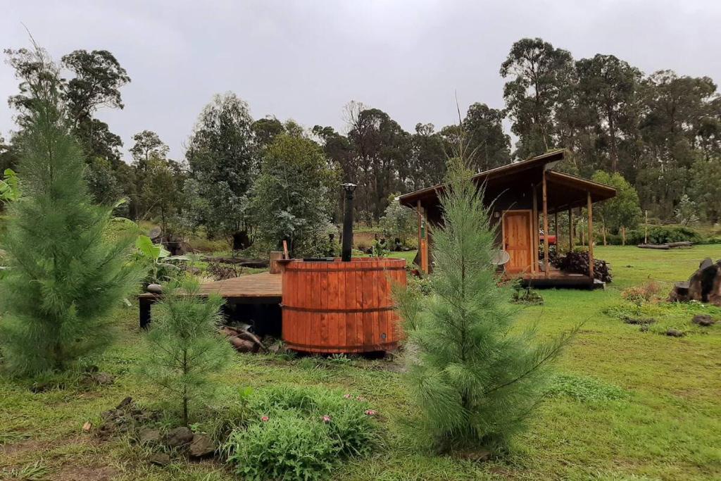 Cabaña de madera pequeña en un campo con árboles en Taina Ta, en Hanga Roa