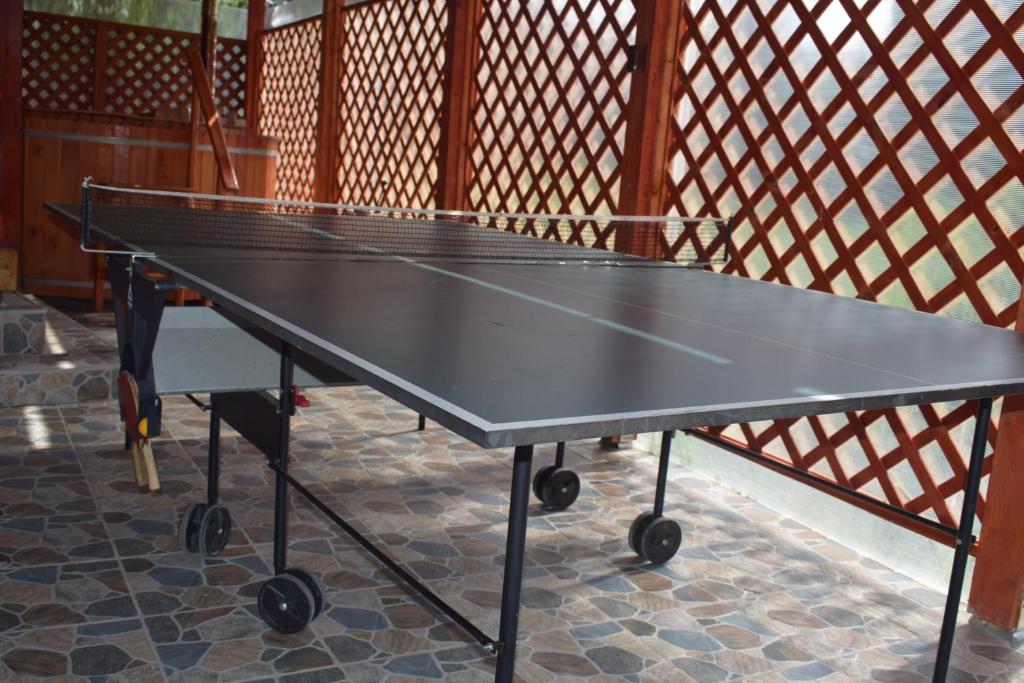 Stolní tenis v ubytování Gamma nebo okolí