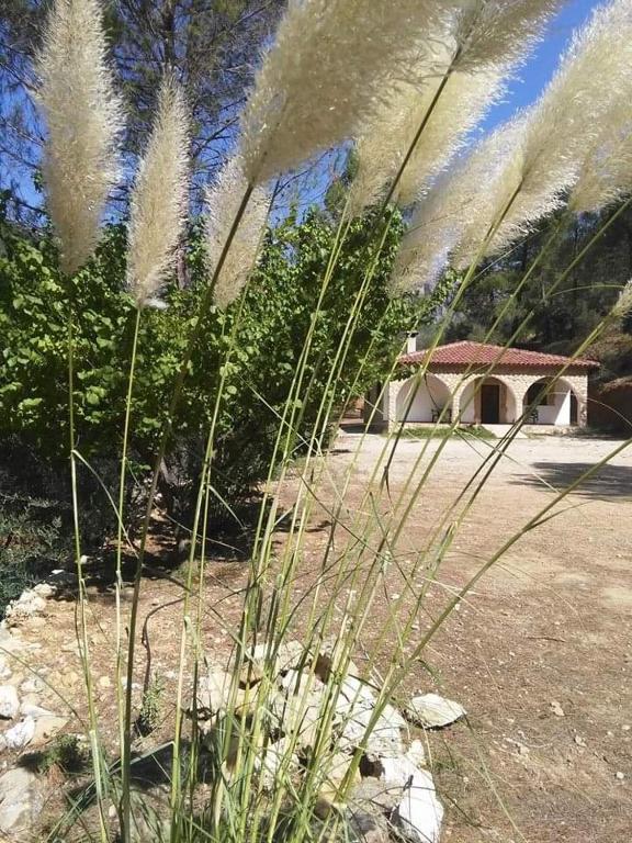 CASAS RURALES LA TOBICA - Housity