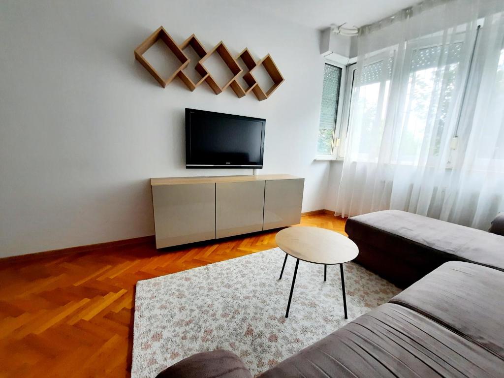 sala de estar con sofá y TV en Franko's Cozy Apartment with garage, en Zagreb