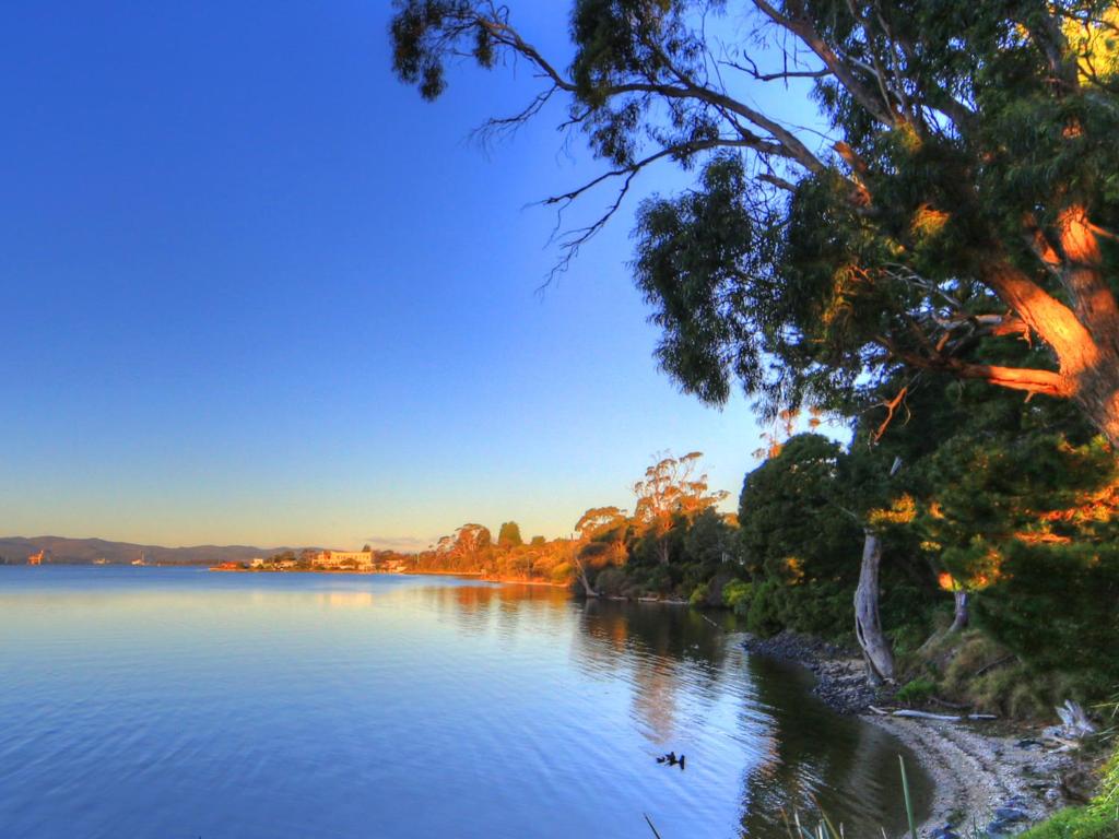 a view of a river with trees on the shore at Beauty Point Tourist Park in Beauty Point