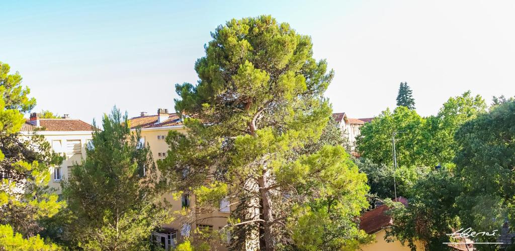 Appart à la cime des Pins - Housity