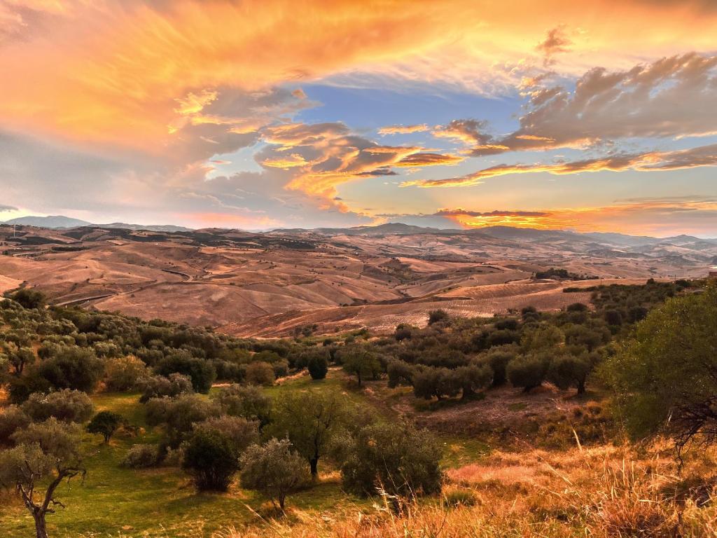 a view of a valley with trees and a sunset at Planet casa vacanze in Montalbano Jonico