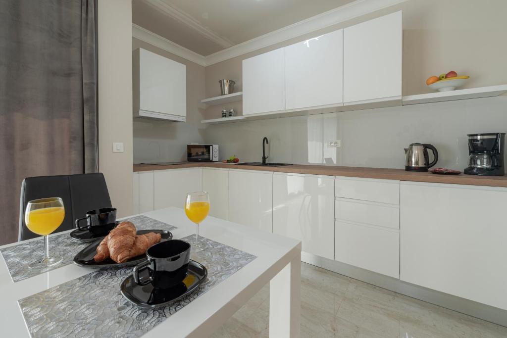 Kuchyň nebo kuchyňský kout v ubytování Apartman MaKris No3