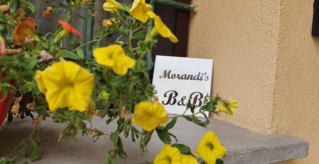 een bord waarop staat mamacitas broer naast gele bloemen bij Morandi's in Bologna